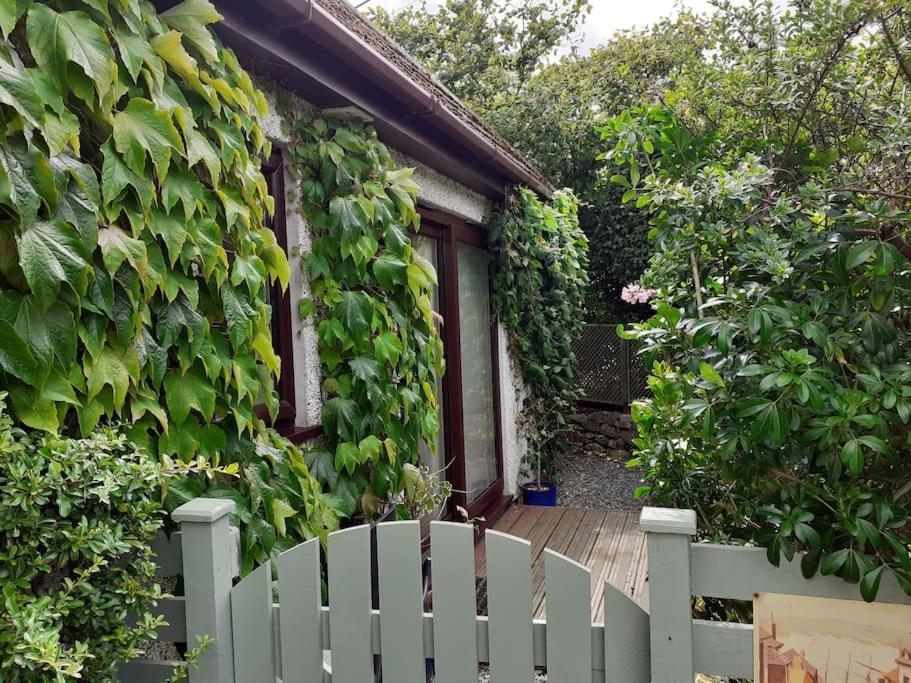 Oakey Orchard - Cosy Apartment In Tamar Valley, Cornwall Saint Dominick Exteriör bild